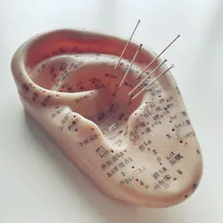Model ear with needles